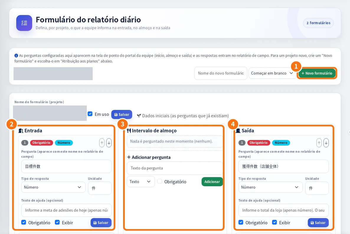 Formulário do relatório diário no painel web