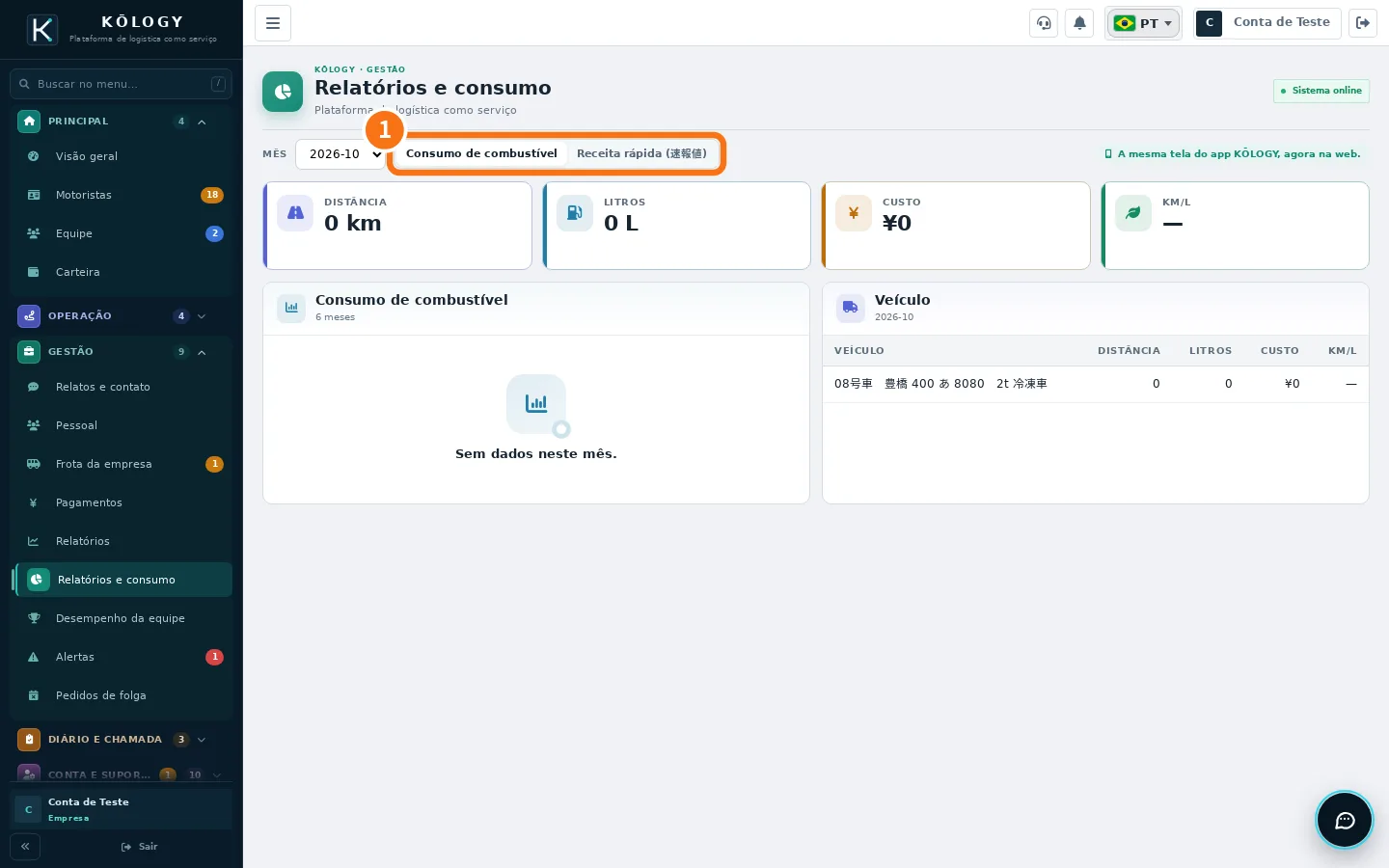 Relatórios e consumo na web com as abas numeradas
